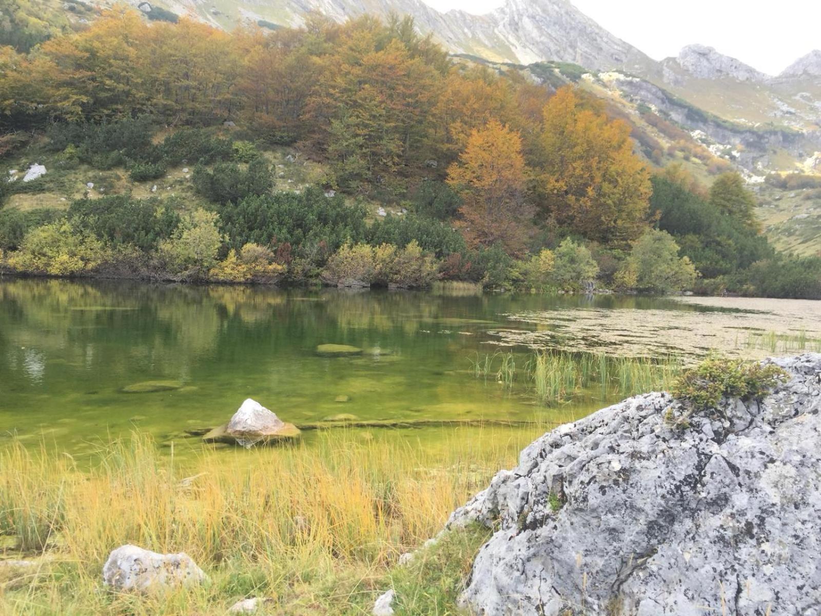 Chalet Kovacevic Žabljak Dış mekan fotoğraf