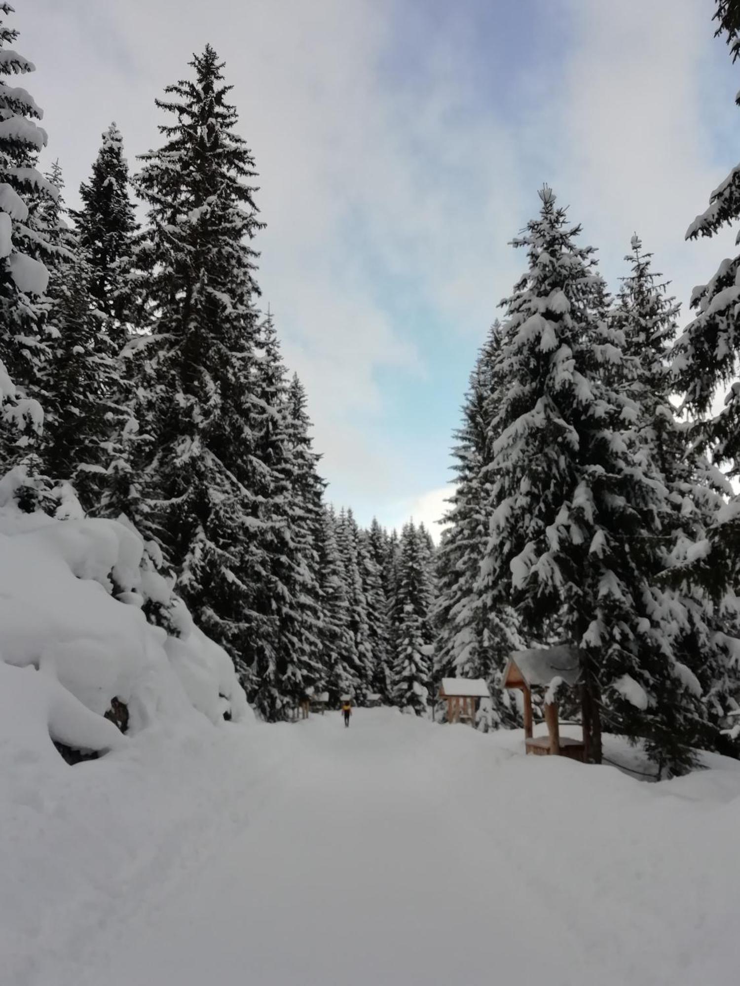 Chalet Kovacevic Žabljak Dış mekan fotoğraf